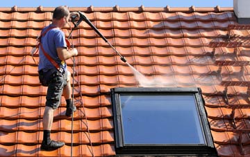 roof cleaning Dean Prior, Devon