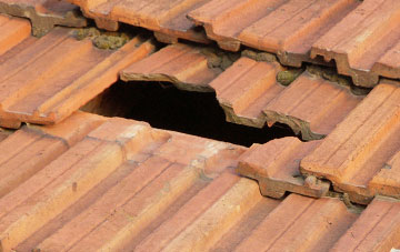 roof repair Dean Prior, Devon