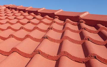 Dean Prior tile and slate roof replacement